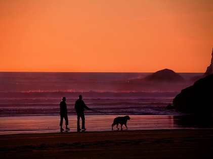 old couple walking on the beach