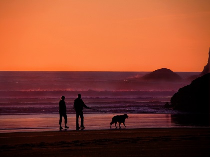 old couple walking with dog on the beach