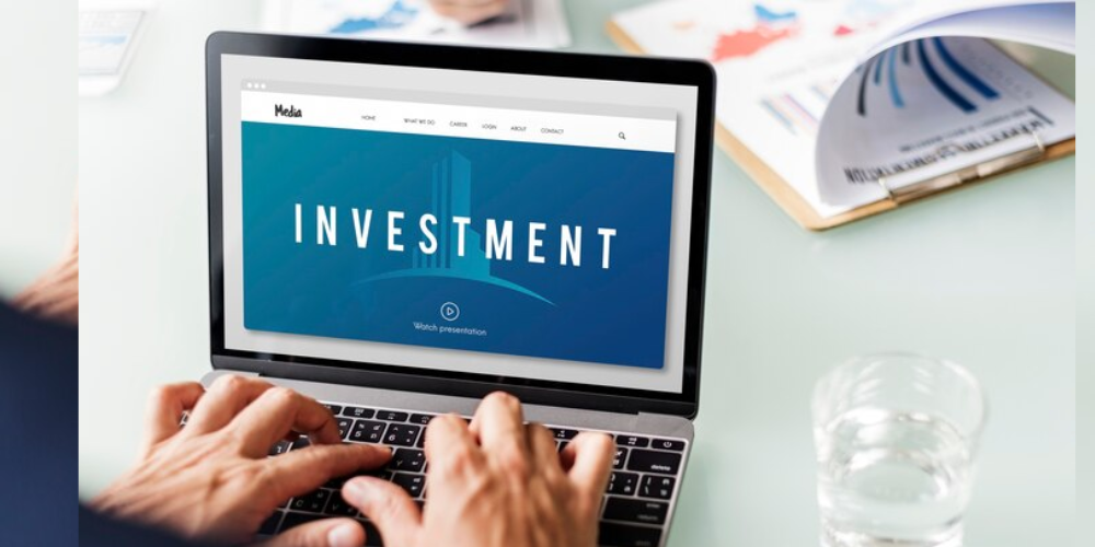 what is portfolio investment entity