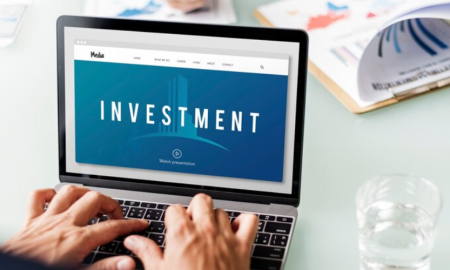 what is portfolio investment entity